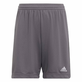 Shorts Entrada 22 - Cinza adidas H57505