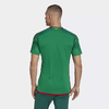 Camisa 1 Federação Mexicana - Verde adidas HD6899 na internet
