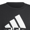 Moletinho Adidas Essentials Big Logo IC9324 - loja online