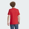 Camiseta Adicolor Classics Trefoil IM4505 - comprar online