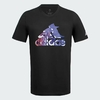 Camiseta Adidas Graphic Logo - IN7977