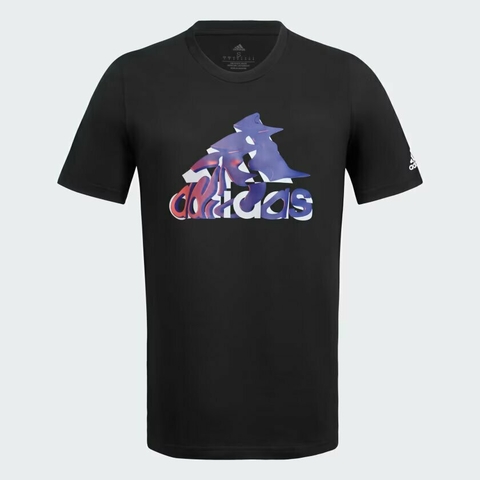 Camiseta Adidas Graphic Logo - IN7977