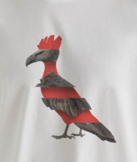 Camiseta Reserva Estampada Pica-Pau Flamengo Branca 0063845-014 - comprar online