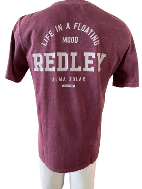 Camiseta Redley Estonada Retrologo 123867.111 - comprar online