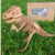 Dinosaurio Madera 3d Rex 57 Cm - comprar online
