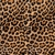 Pañuelo Leopard - comprar online