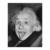 Albert Einstein (Detalle) - comprar online