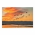 Aves en el atardecer - comprar online