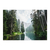 Bosque y Lago di Braies - comprar online