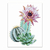 Cactus con flor - comprar online