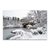 Central Park nevado - comprar online