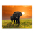 Elefantes puesta de sol - comprar online