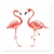 Flamingos - comprar online