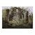 Monasterio en ruinas de Eldena - comprar online