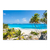 Playa de Barbados - comprar online