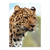 Retrato Leopardo - comprar online