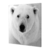 Retrato oso polar