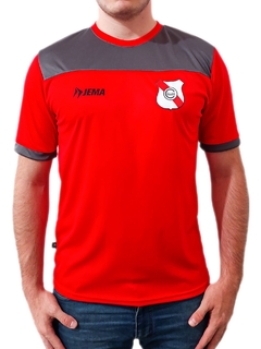 REMERA ENTRENAMIENTO CLUB LUJAN HOMBRE - comprar online