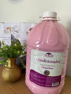 Condicionador de Orquídeas 5Lt - SEM SAL - comprar online