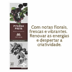 Imagem do KIT Incenso Nirvana Aromas - LIMPEZA E PROTEÇÃO - 9 caixas 81V