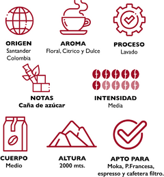 Pack x 4 Café en Grano Colombia - 1 Kg - comprar online