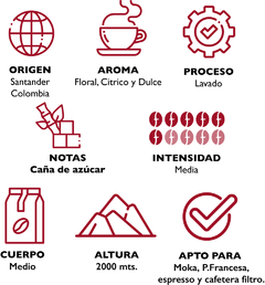 Café en Grano Colombia - 1 kg en internet