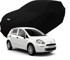 Capa Fiat Punto na internet