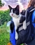 Mochila para gatos tipo "astronauta" - Dudi Mascotas - Pet Shop Online 