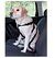 labrador perro grande viajando con arnes en auto