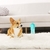 Bebedero portátil con traba de seguridad (380 ml) - Dudi Mascotas - PET SHOP ONLINE 