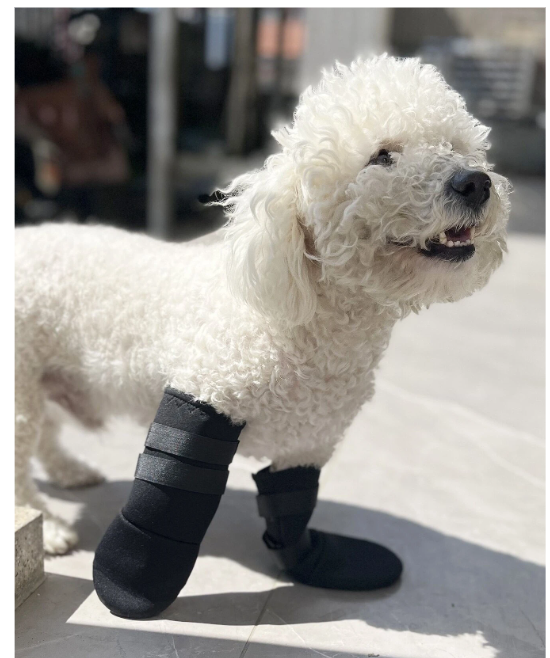Botas de neoprene para perros