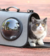 Bolso transportador para gatos con visor y bolsillo