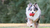 Juguete rellenable para perros Trixie (mediano) - comprar online