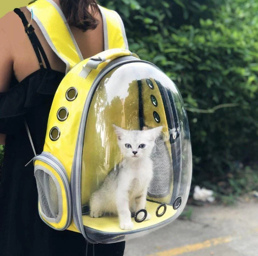 Mochila transparente burbuja rígida para gatos y perros