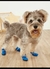 Botitas de silicona para perros - Dudi Mascotas - PET SHOP ONLINE 