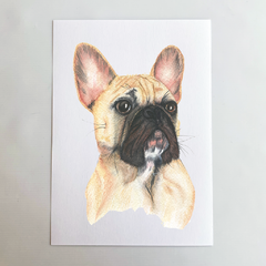 Print "Bulldog"