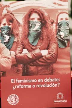 El feminismo en debate: ¿reforma o revolución?
