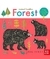 Forest, animal families