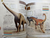 Enciclopedia de dinosaurios en internet