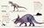Diccionario de dinosaurios en internet