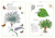 Inventario ilustrado de árboles - tienda online