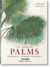 The book of palms en internet