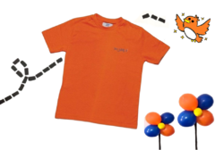 camiseta basica m/c laranja