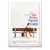 Poster Forrest Gump - O Contador de Histórias - comprar online