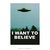 Poster I Want to Believe - Arquivo X - QueroPosters.com