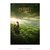 Poster O Hobbit - Uma Jornada Inesperada - QueroPosters.com