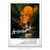 Poster Apocalypse Now - Clássico - comprar online