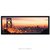 Poster Ponte Golden Gate - comprar online