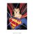 Poster Superman Mitologia - QueroPosters.com