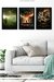 conjunto 3 quadros O Hobbit - Trilogia - Poster e decoração para casa